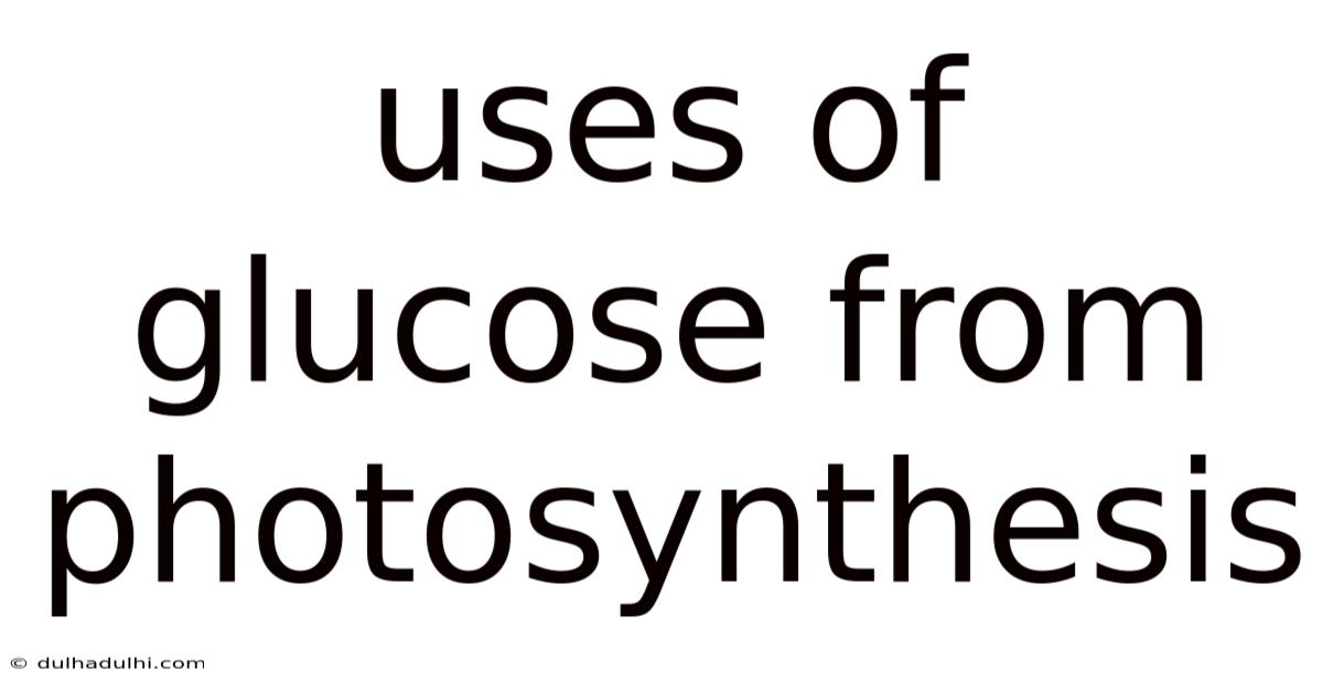 Uses Of Glucose From Photosynthesis
