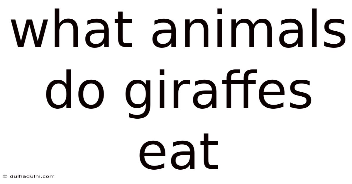 What Animals Do Giraffes Eat