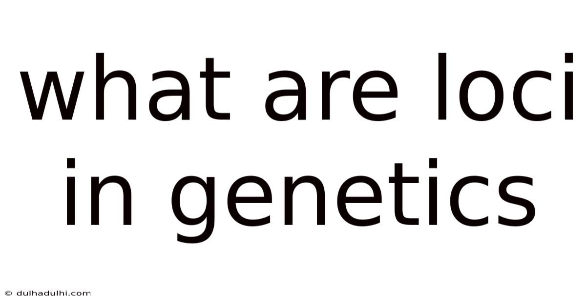 What Are Loci In Genetics