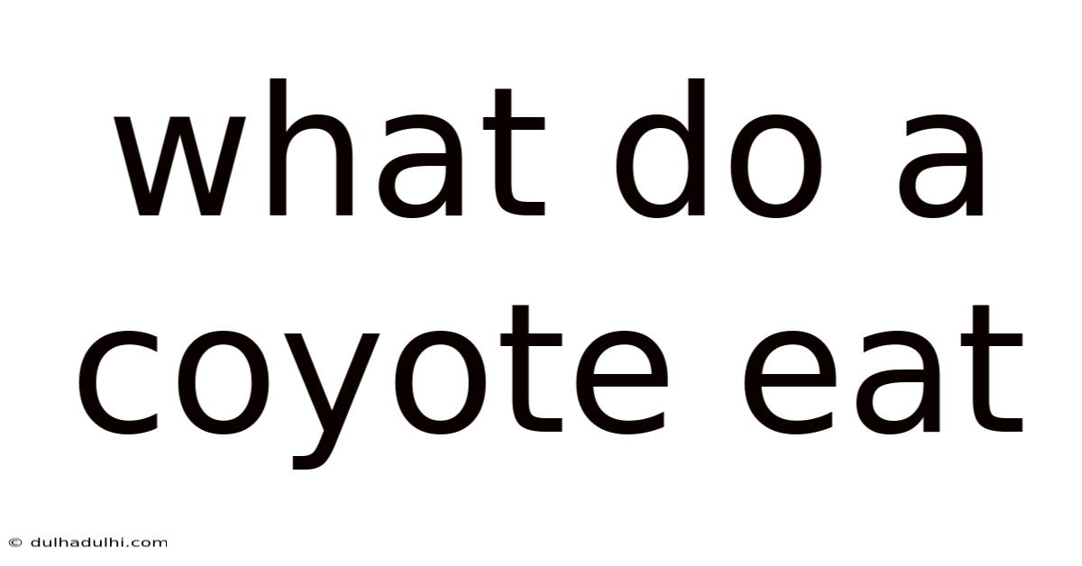 What Do A Coyote Eat