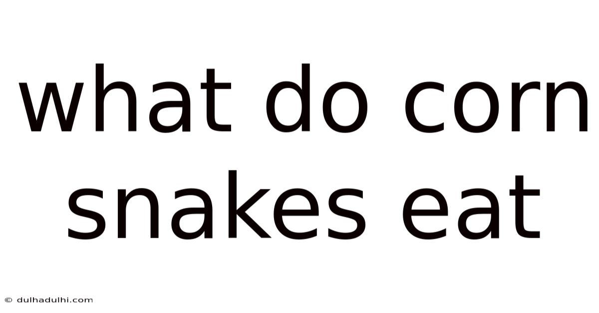 What Do Corn Snakes Eat
