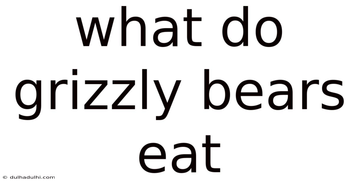 What Do Grizzly Bears Eat