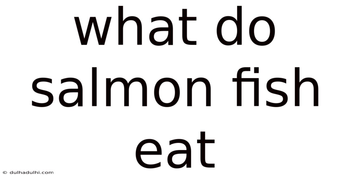 What Do Salmon Fish Eat