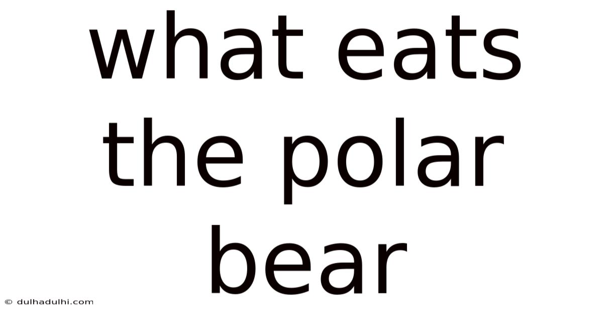 What Eats The Polar Bear