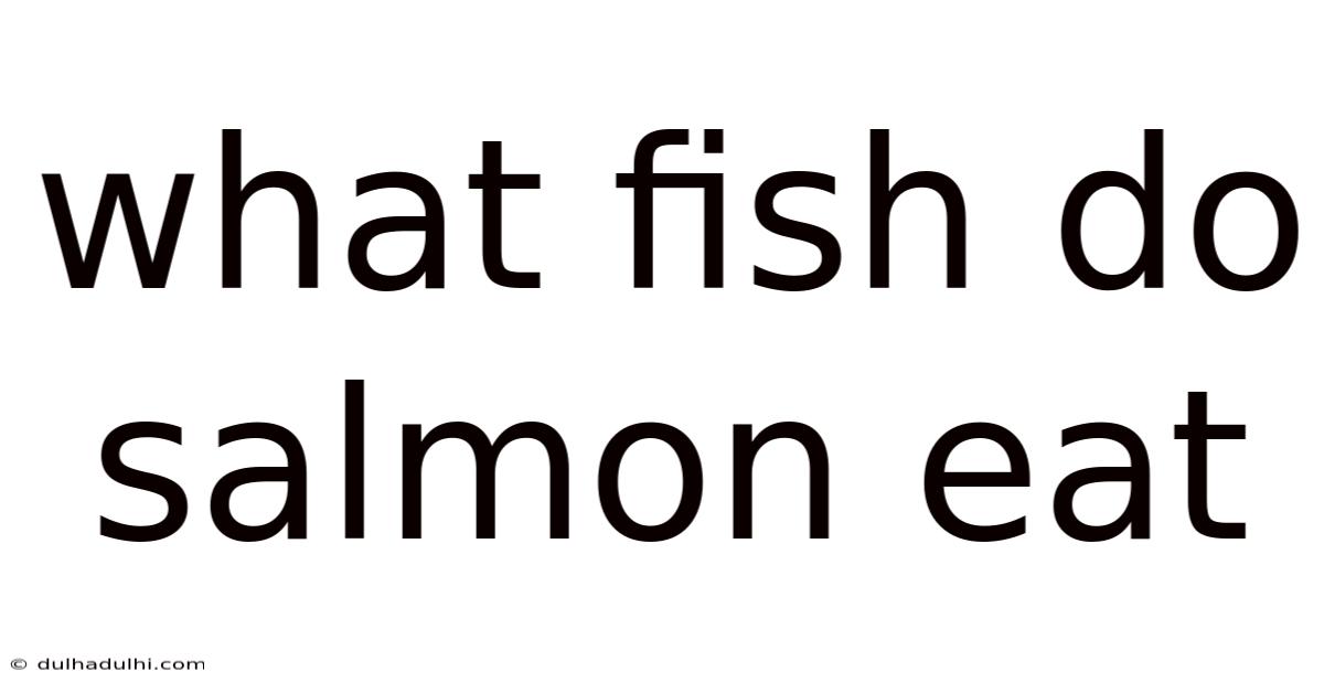 What Fish Do Salmon Eat