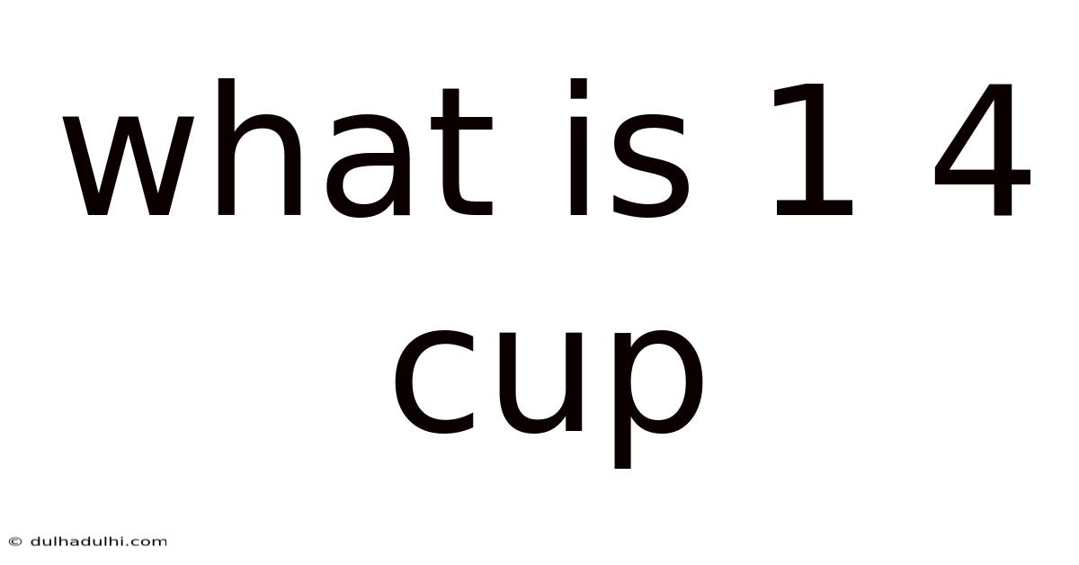 What Is 1 4 Cup