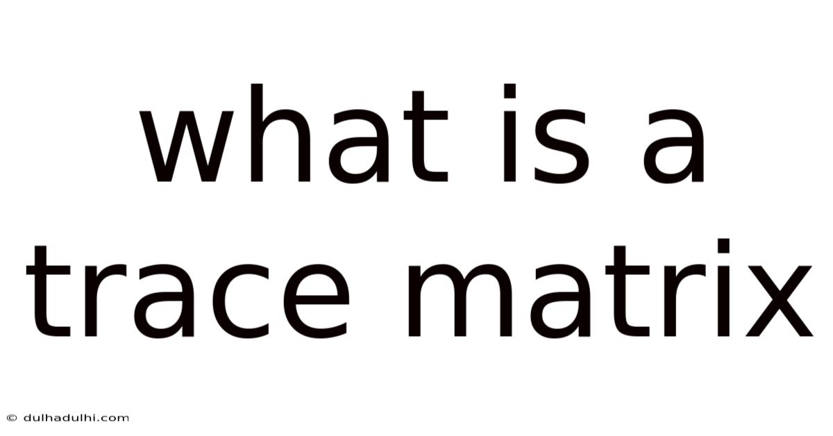 What Is A Trace Matrix