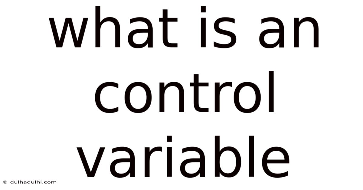 What Is An Control Variable