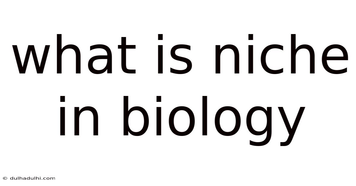 What Is Niche In Biology