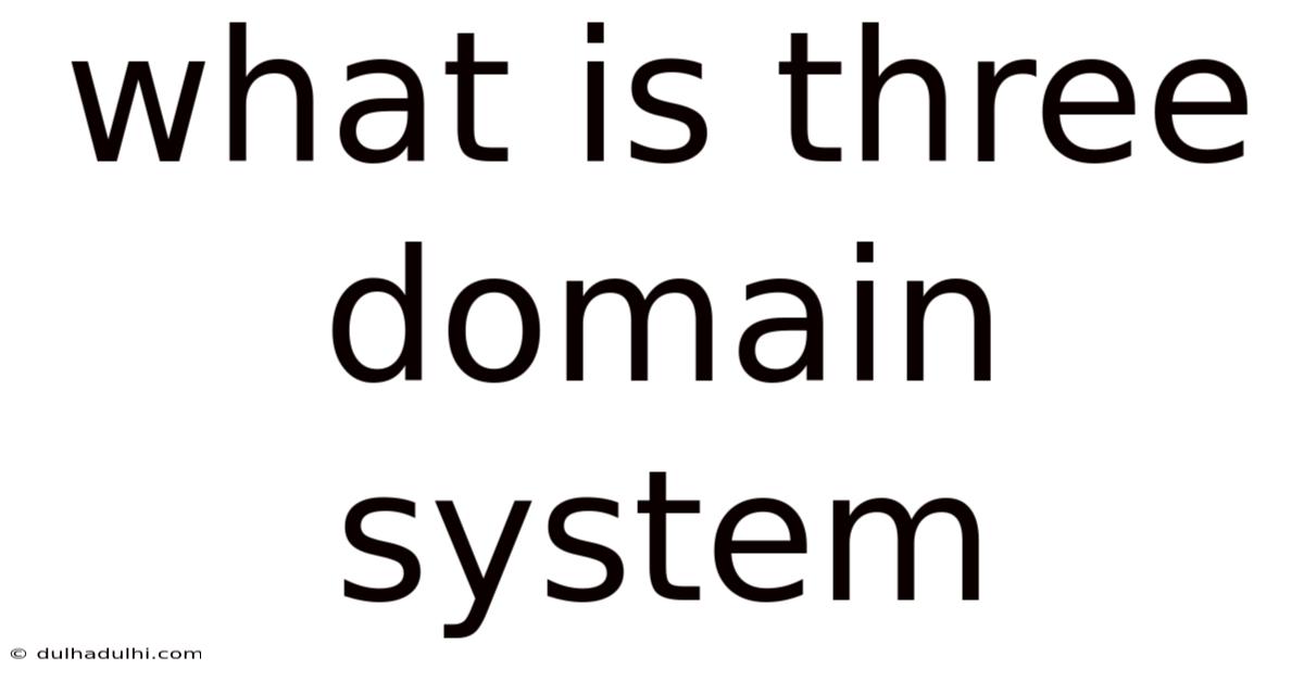 What Is Three Domain System