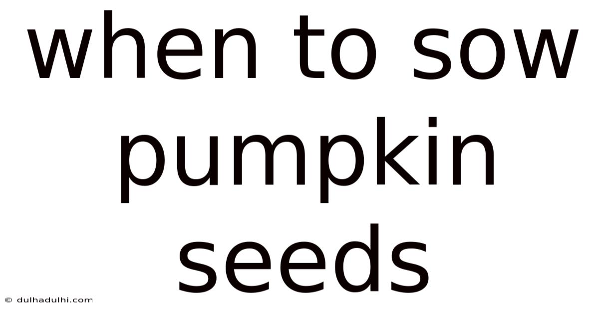 When To Sow Pumpkin Seeds