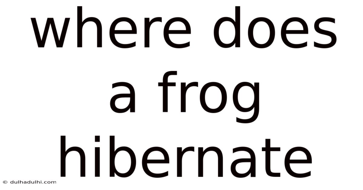 Where Does A Frog Hibernate