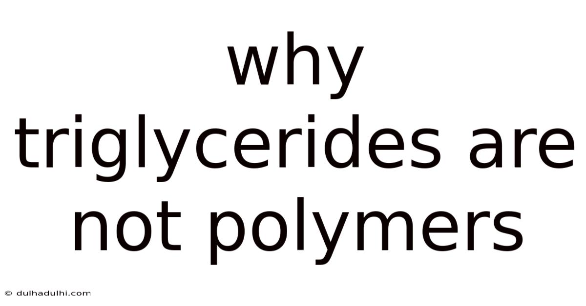 Why Triglycerides Are Not Polymers