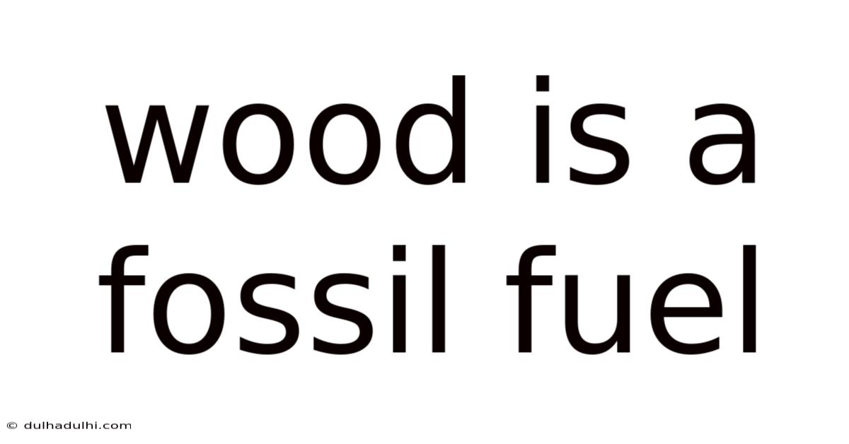 Wood Is A Fossil Fuel